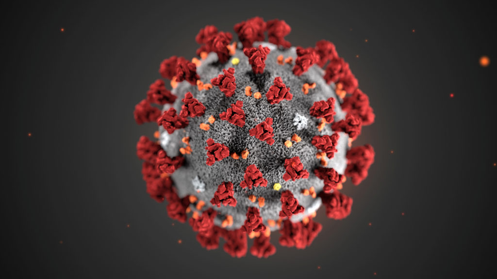 Image result for cdc coronavirus
